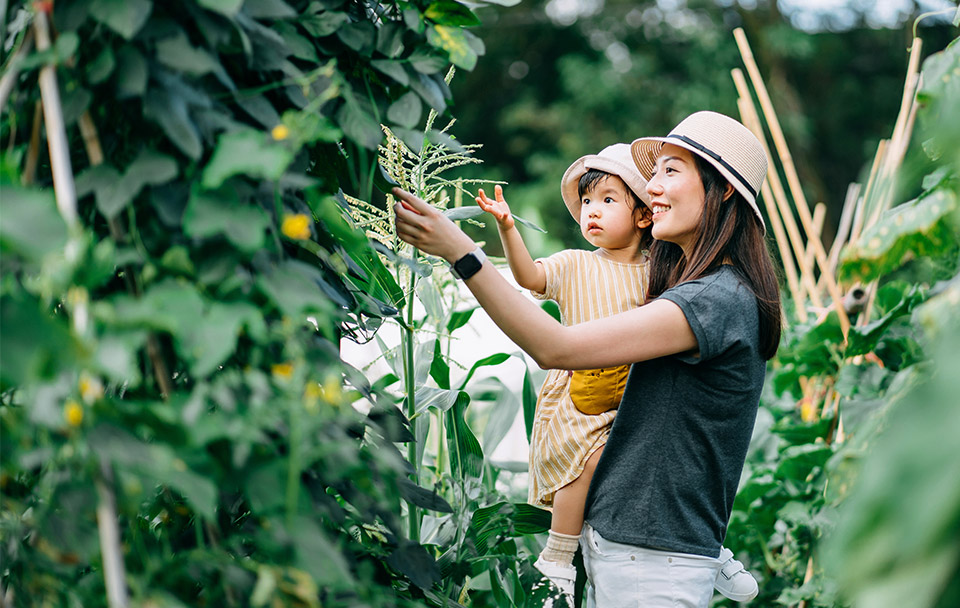 G22034-Breezy-Travel_Sustainability_960x608 Make Hong Kong a more sustainable place